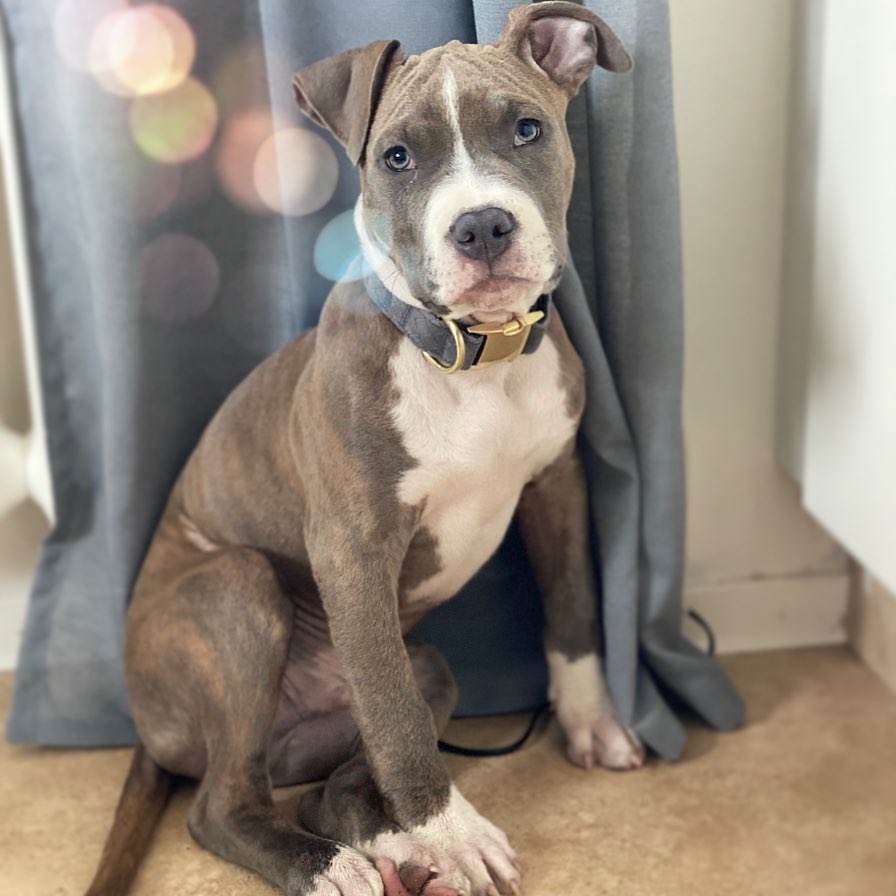 Tyson