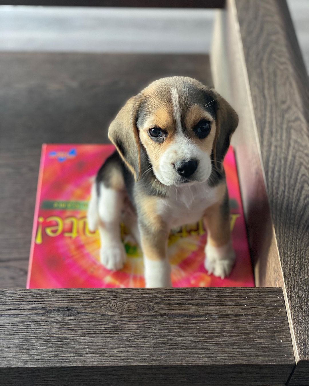 Max