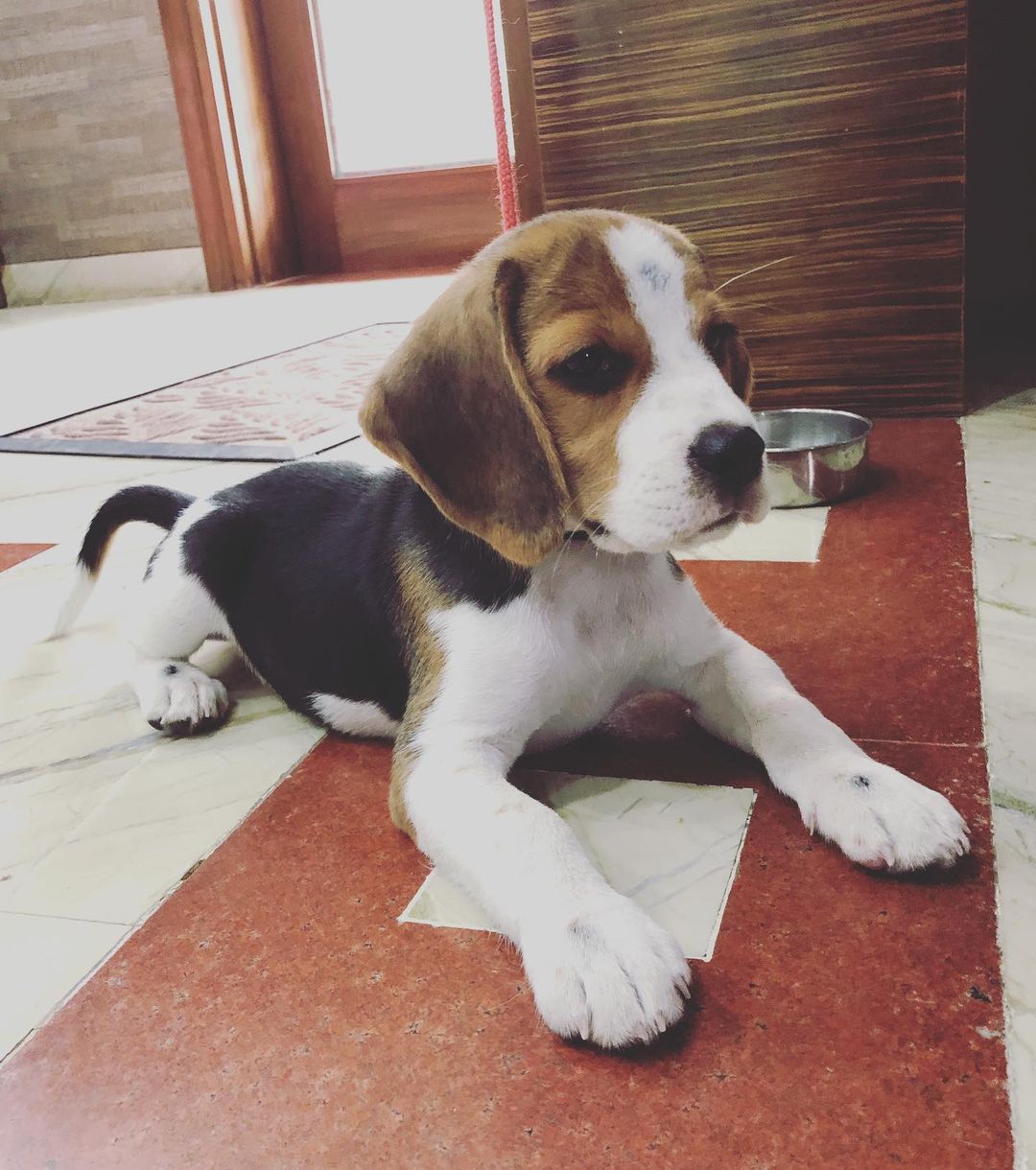 Ramos