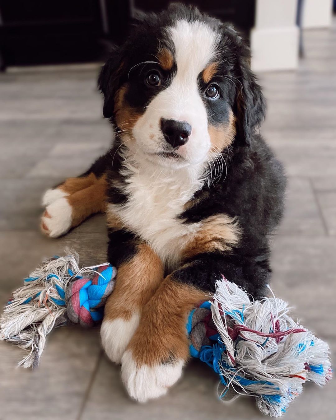 Coco