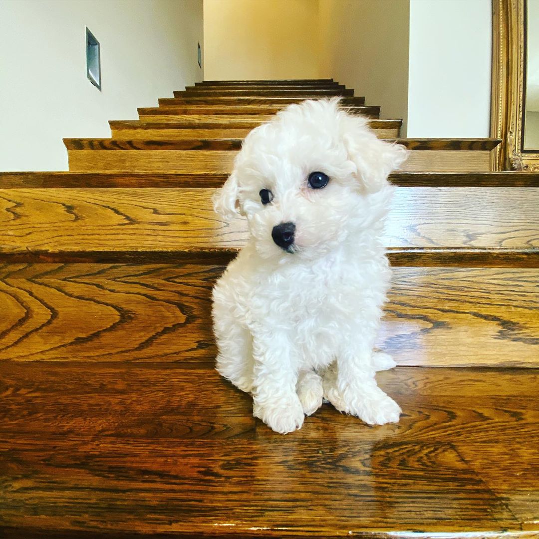 Max