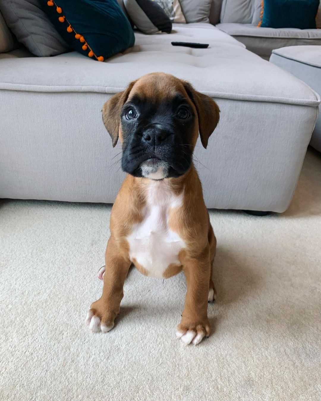 Watson