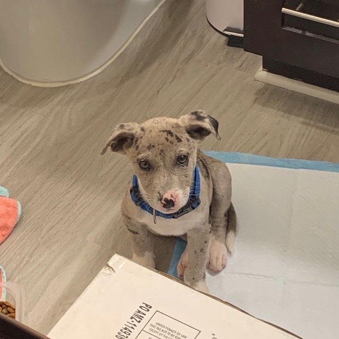 Winnie