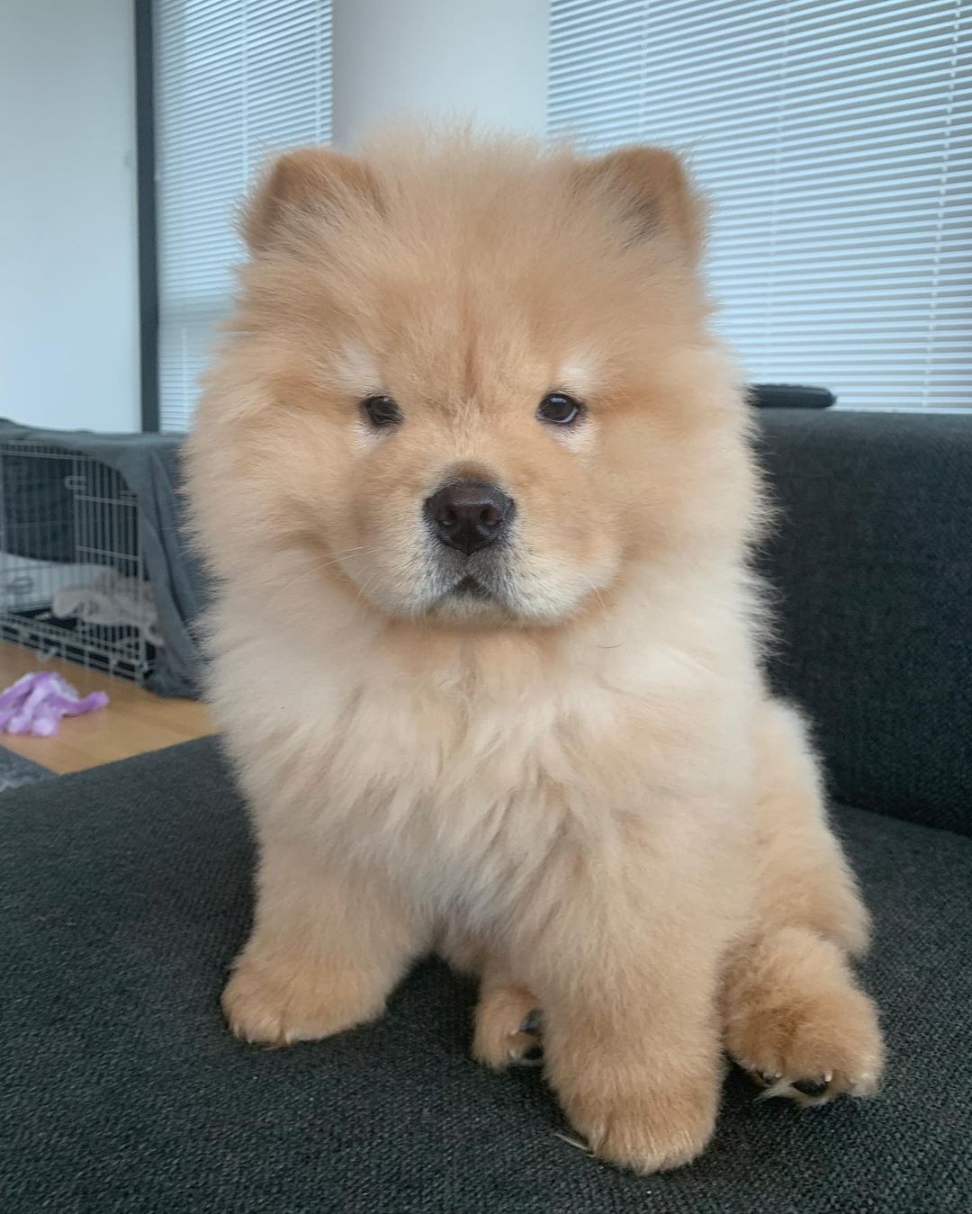 Tedlin