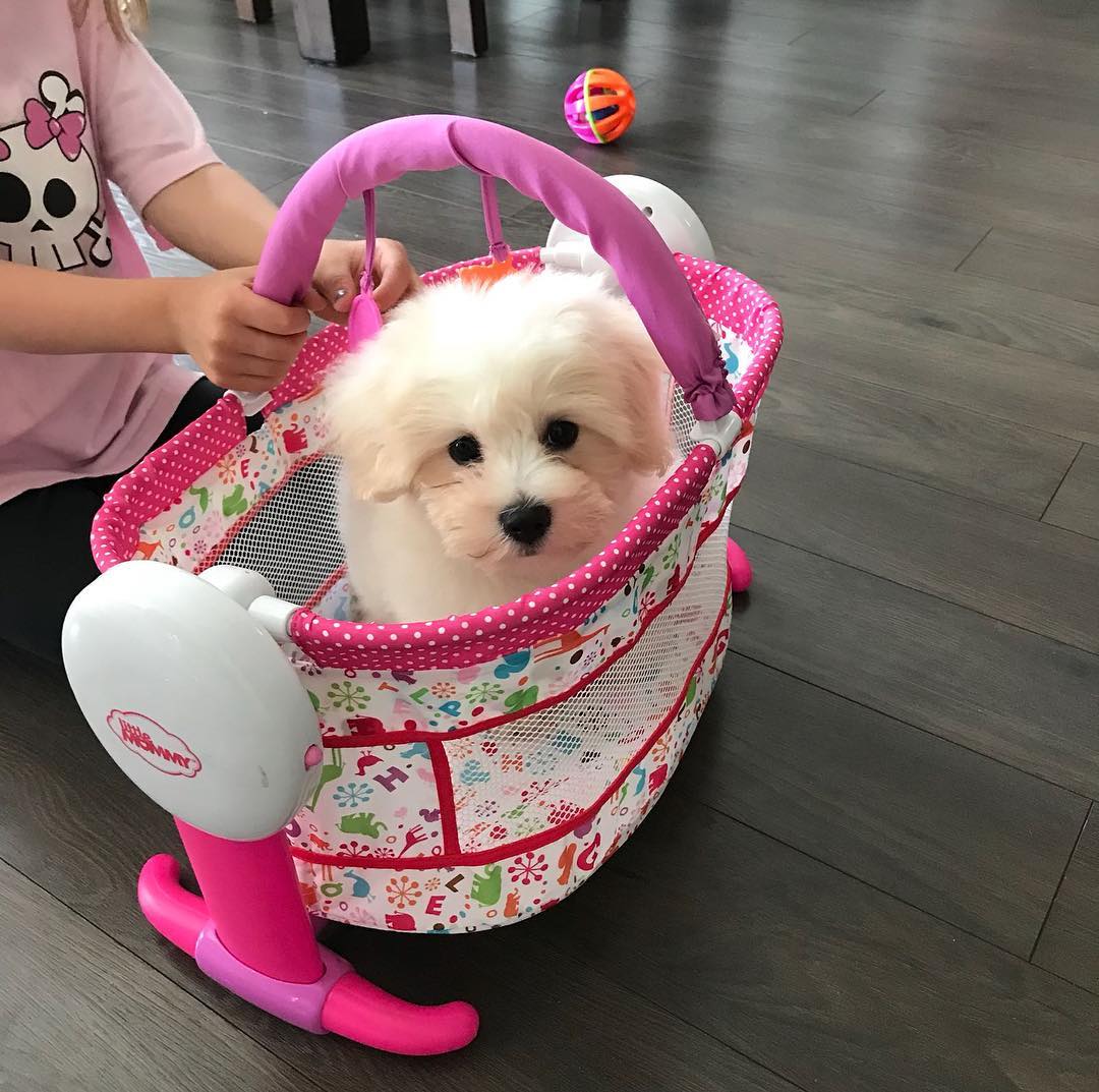 Milo