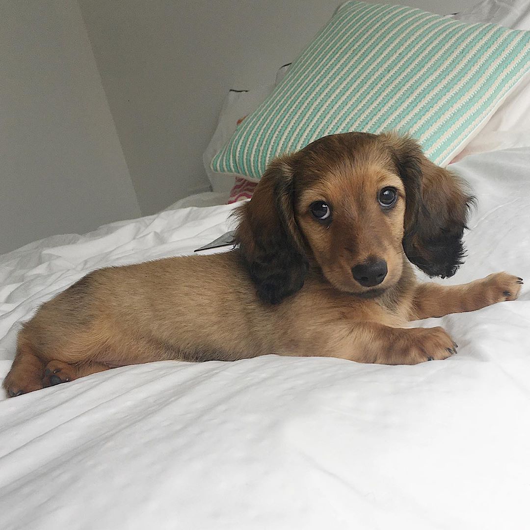 Marley