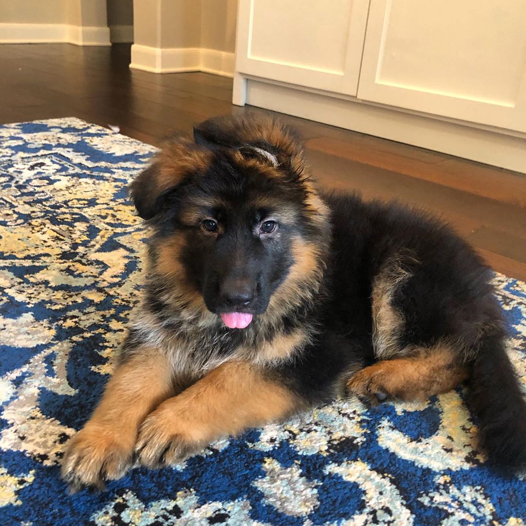 Kona
