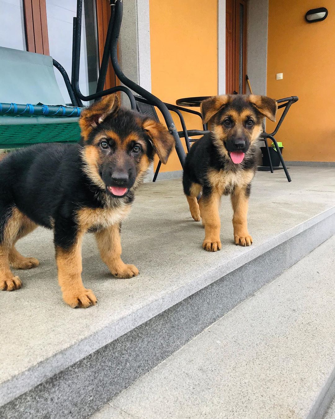 Kuvo And Gracie