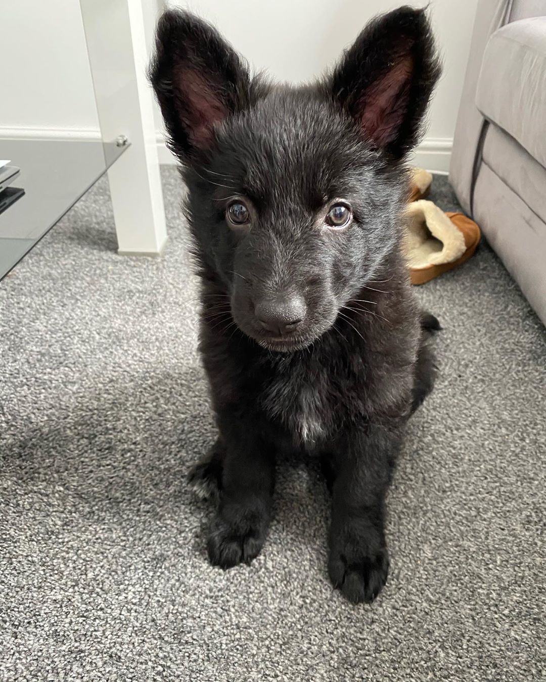 Nyla