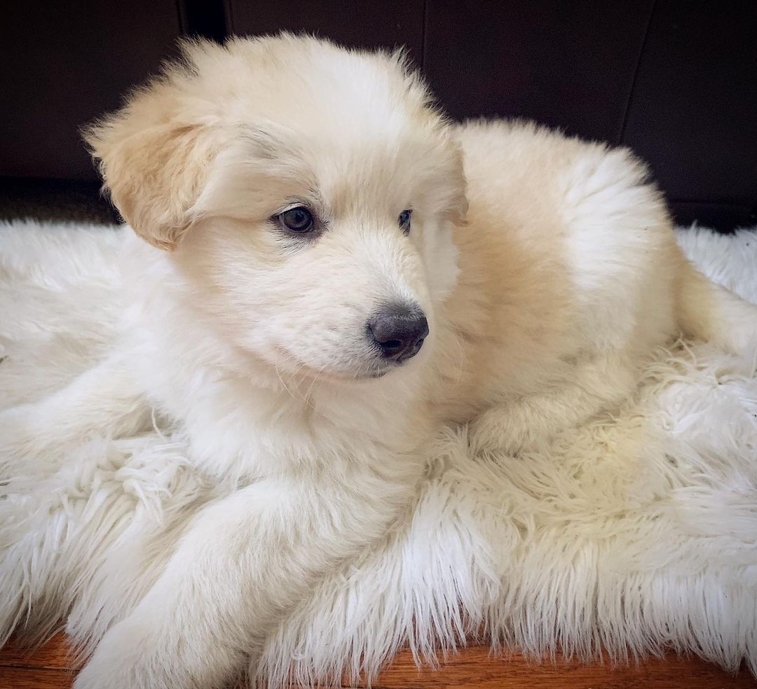 Winnie