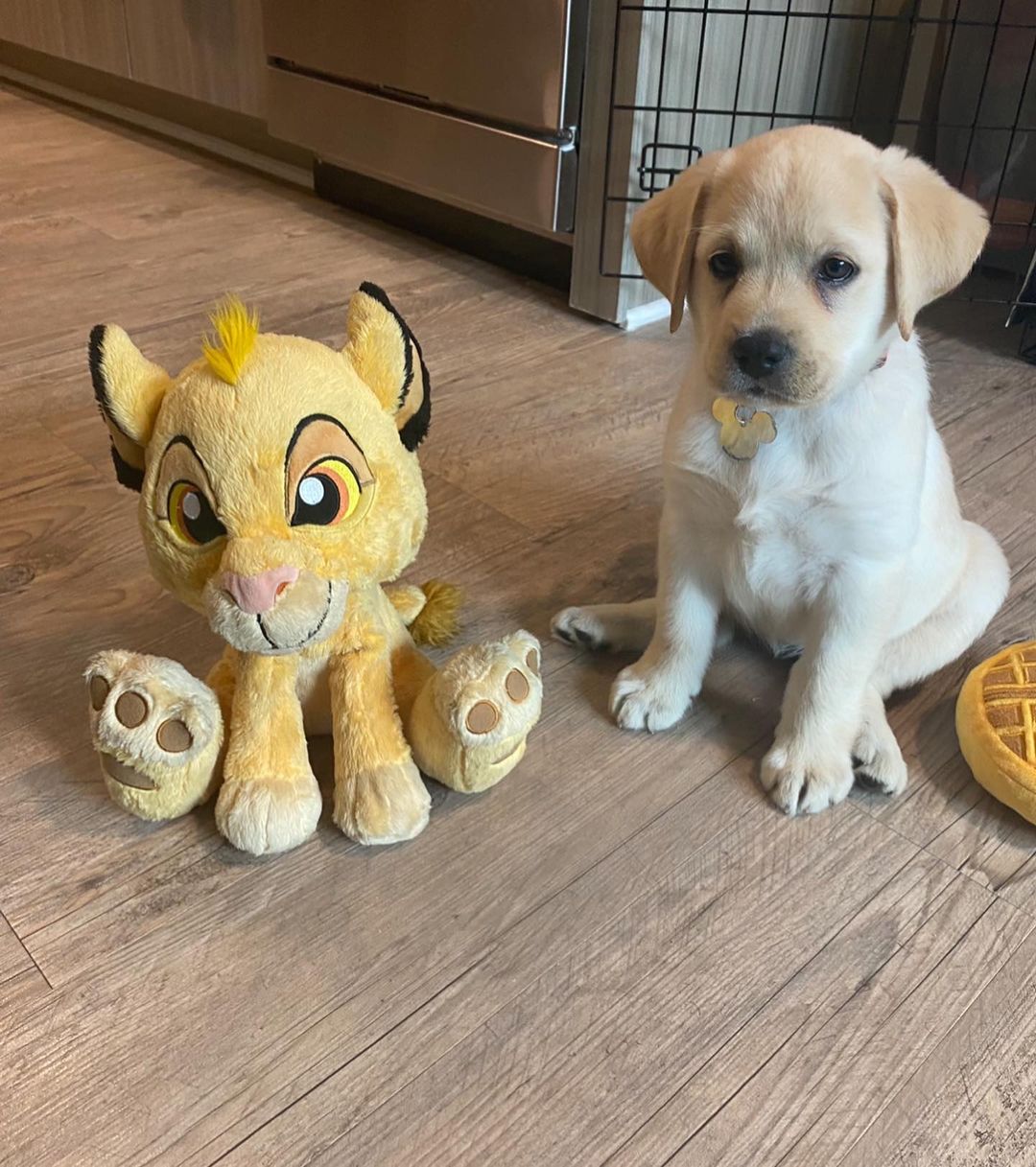 Nala
