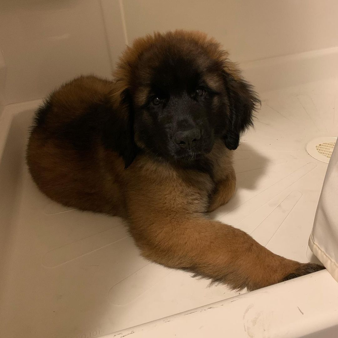 Sedona