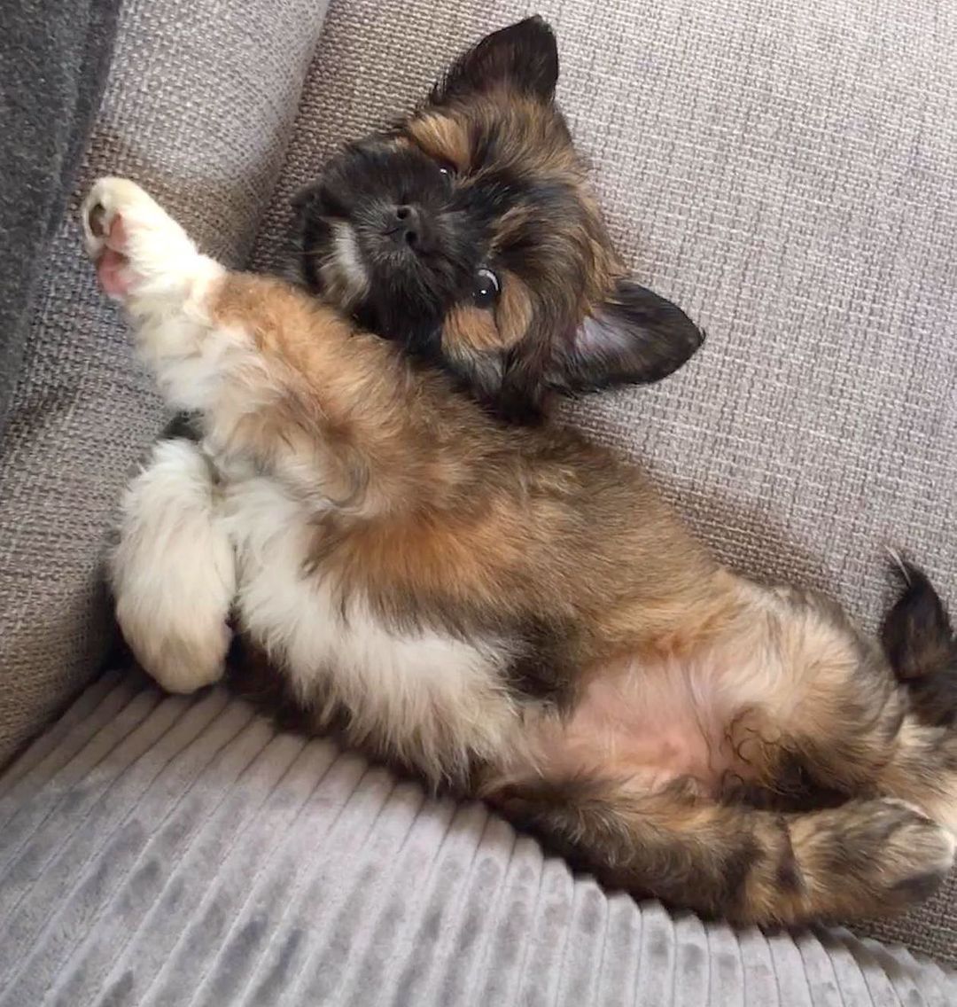 Bonnie