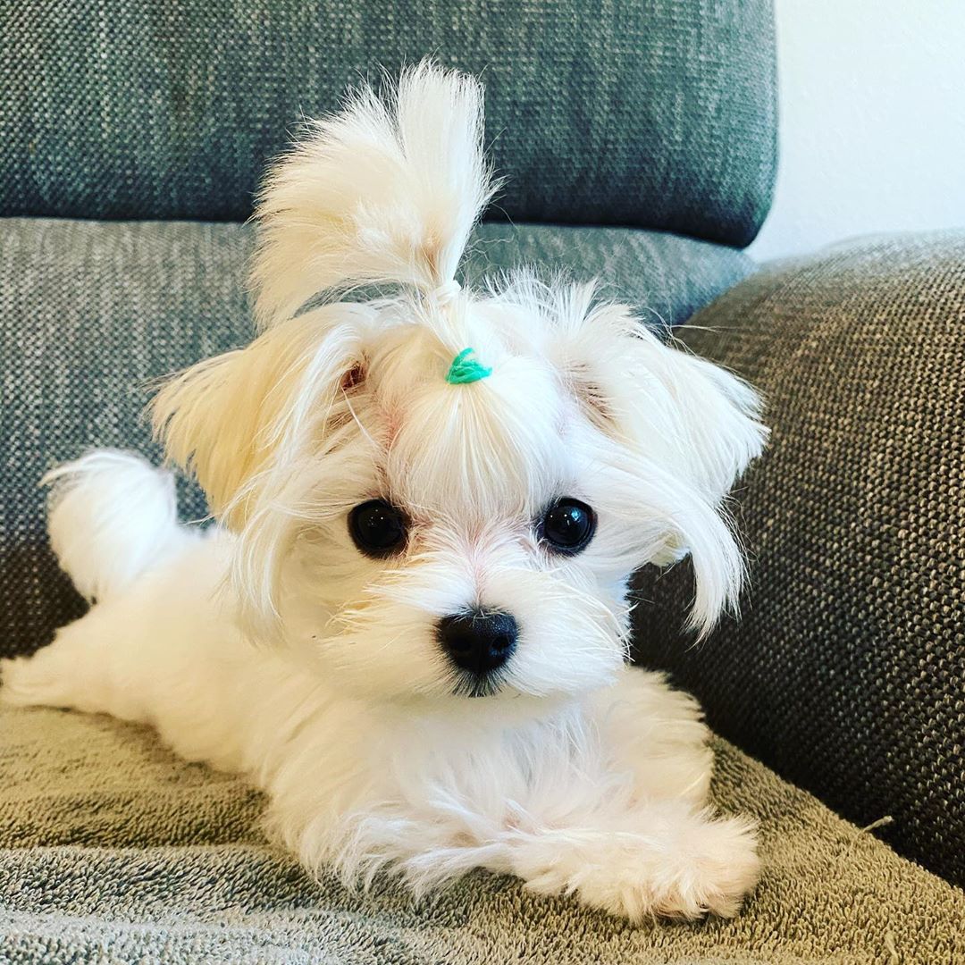Ella