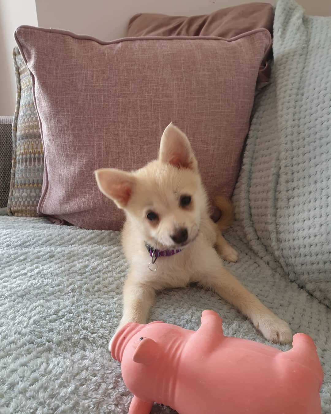 Luna