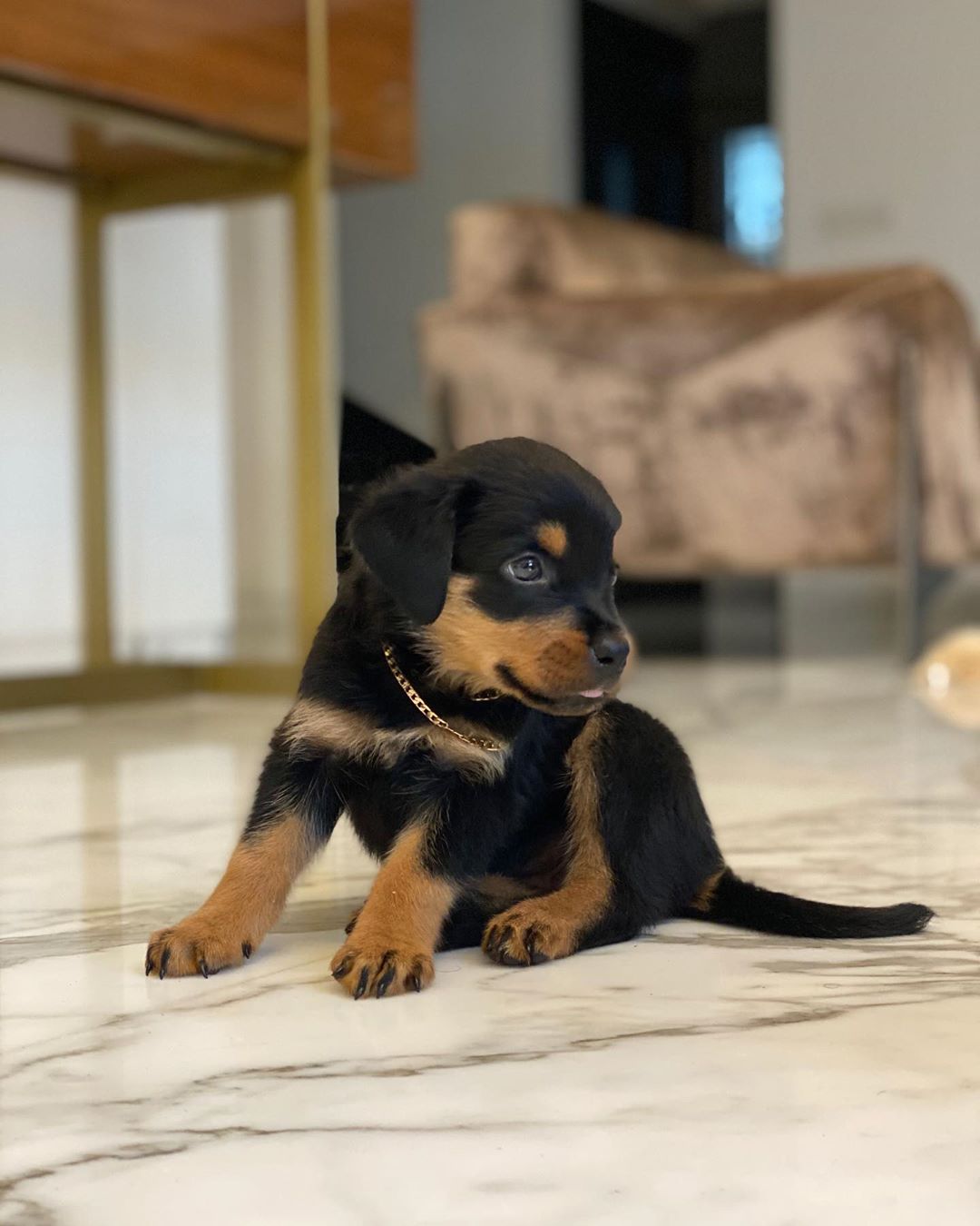 Max