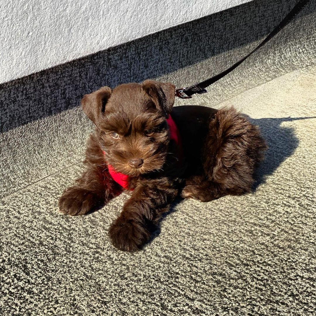 Zoe