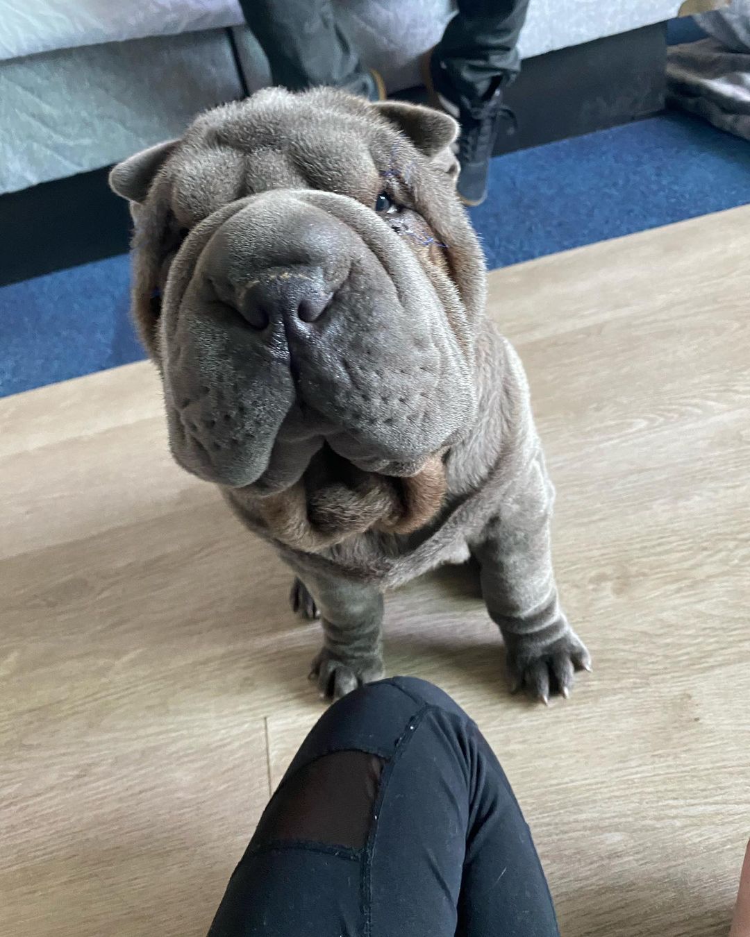 Odin