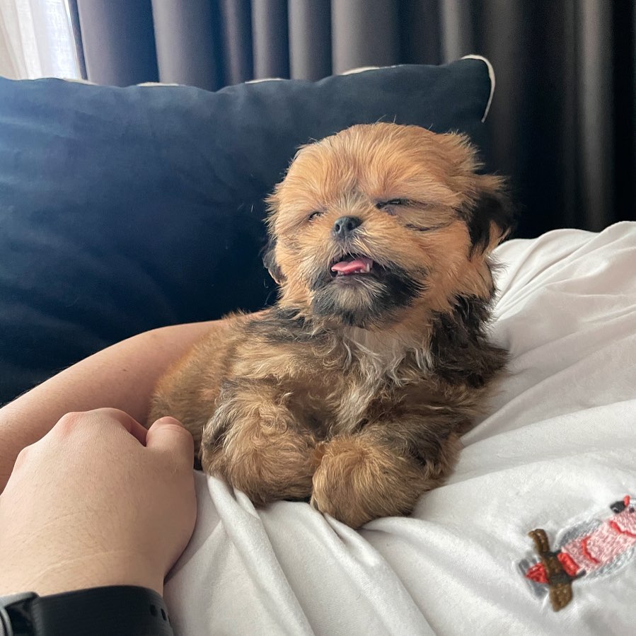 Milo