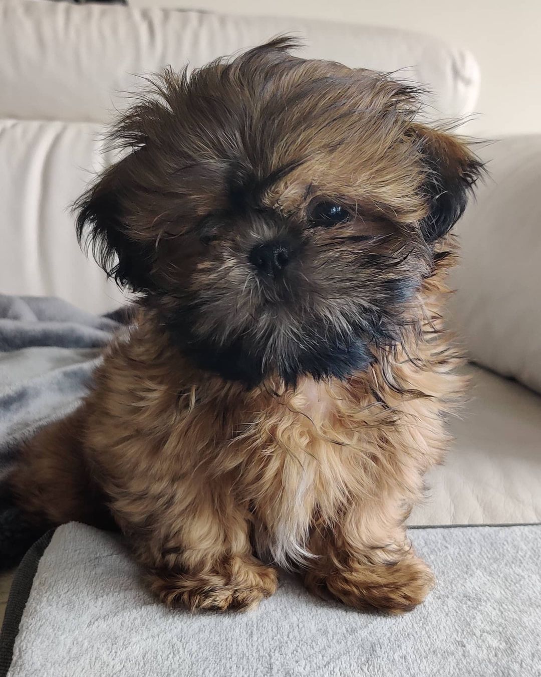 Tchewey