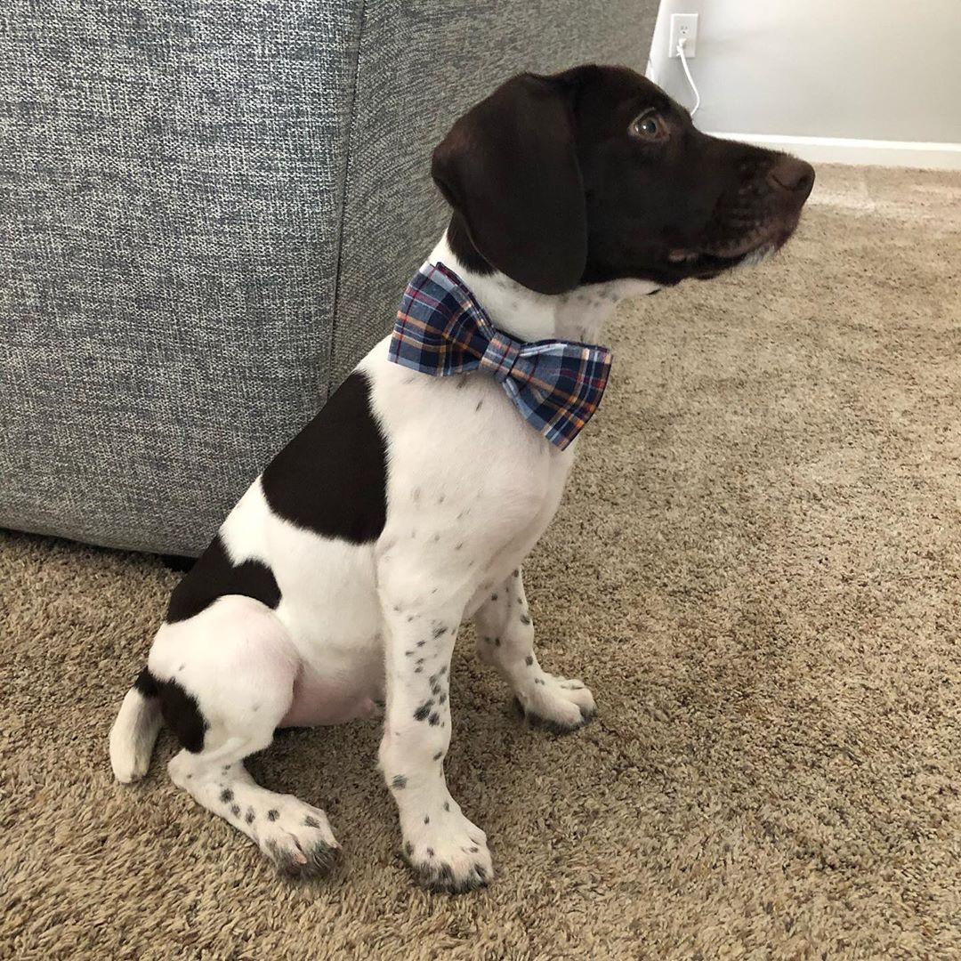 Hudson